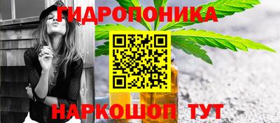 крисы Янаул