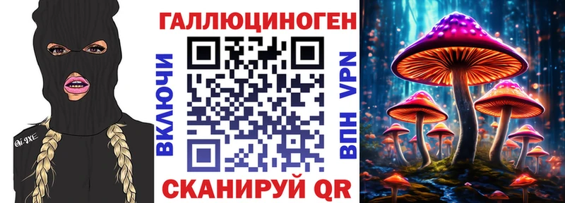 OMG онион  Советская Гавань  Псилоцибиновые грибы Cubensis  продажа наркотиков 
