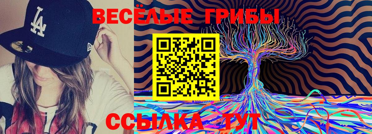 Советская Гавань  Псилоцибиновые грибы GOLDEN TEACHER  Вход с VPN  Псилоцибиновые грибы прущие грибы 