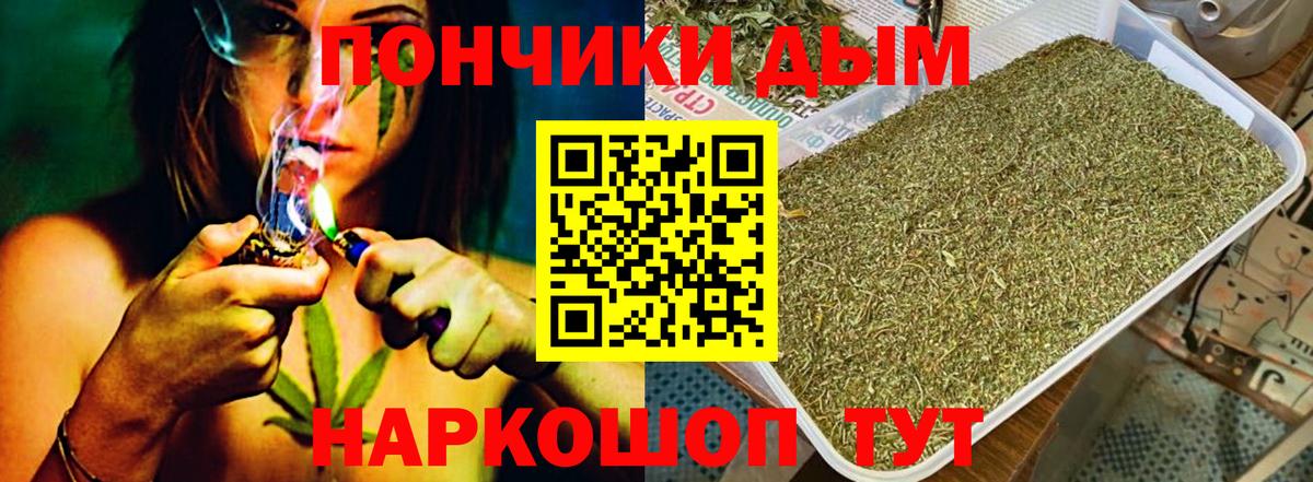 Канабис конопля  Марихуана сатива  Вход с VPN  Марихуана ГИДРОПОН  Бошки Шишки Bruce Banner  Советская Гавань 